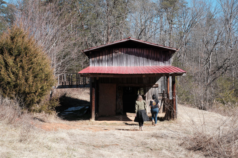 A Sanctuary of Collective Care