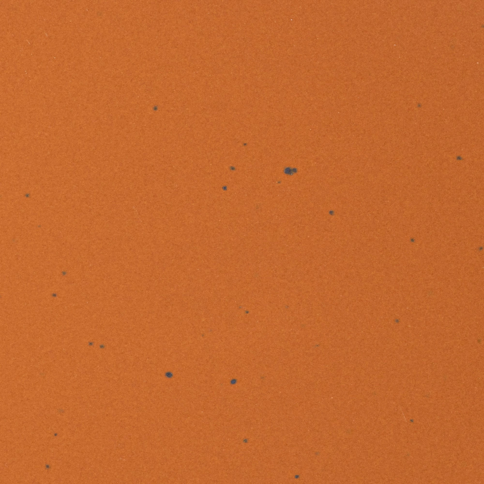 A closeup of a ceramic plate in an earthy orange color with iron spots