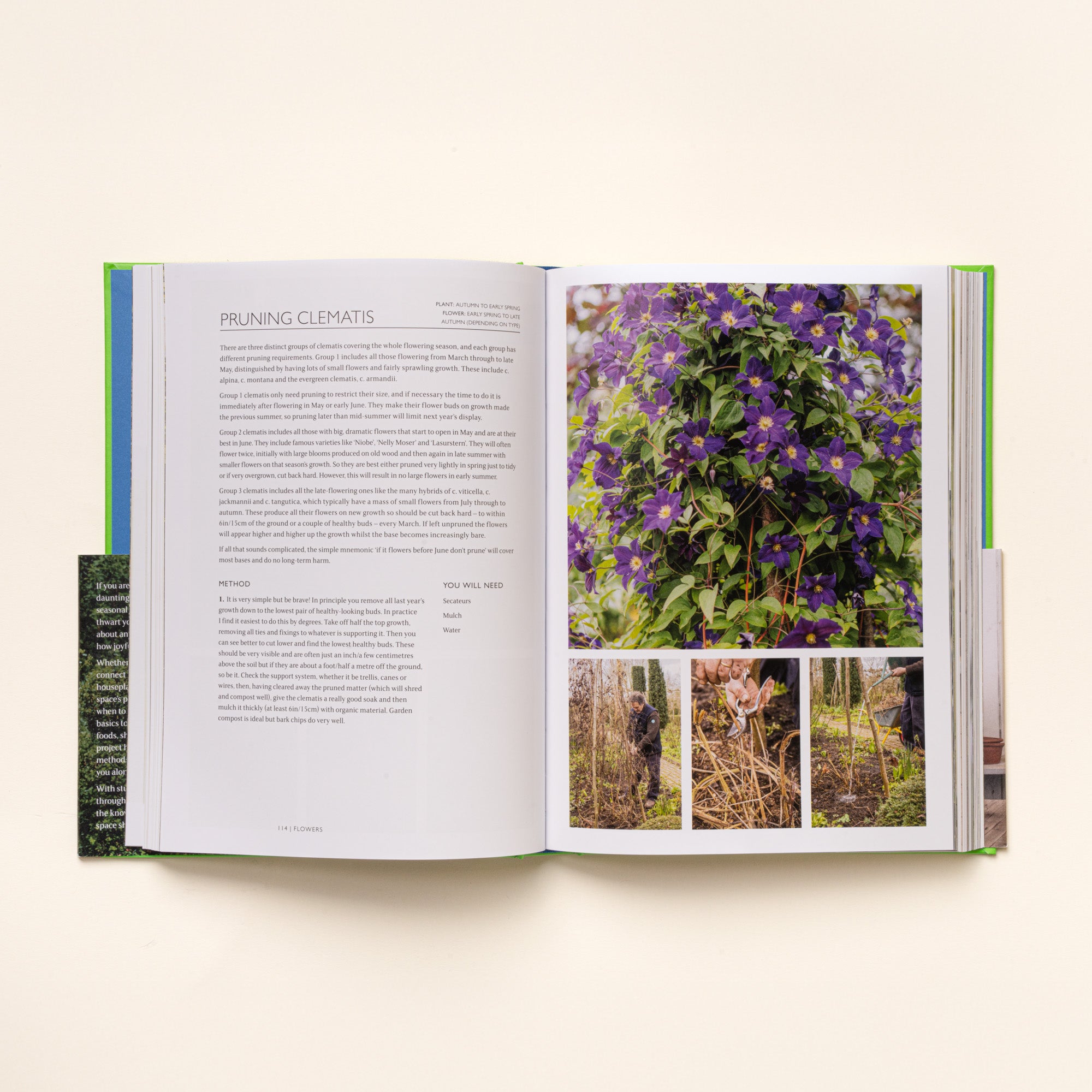 Open book spread on pruning clematis, with text on left and photos of purple flowers and pruning steps on right.
