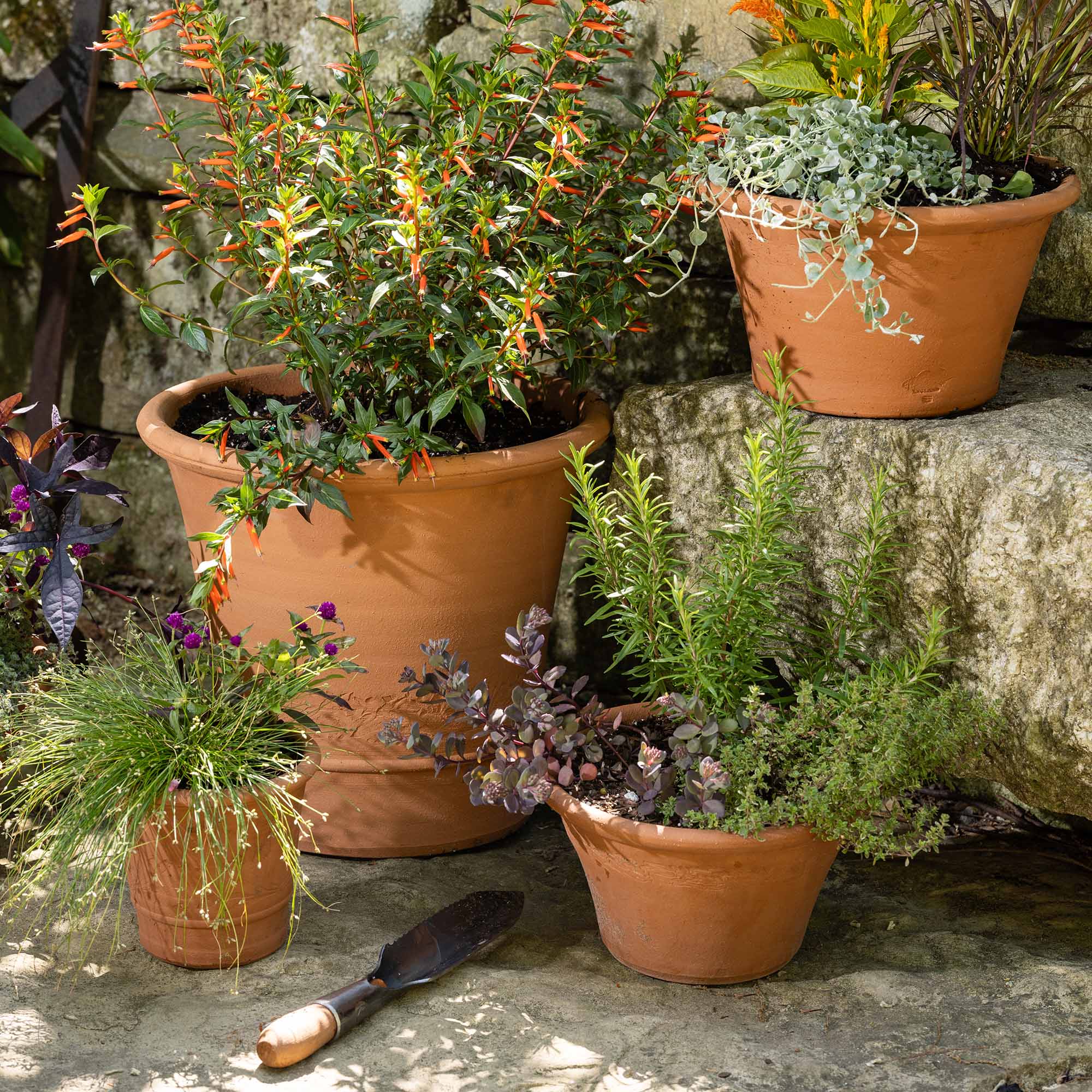 Group of Whichford terracotta planters arranged in a garden setting, filled with colorful flowers, herbs, and ornamental foliage.