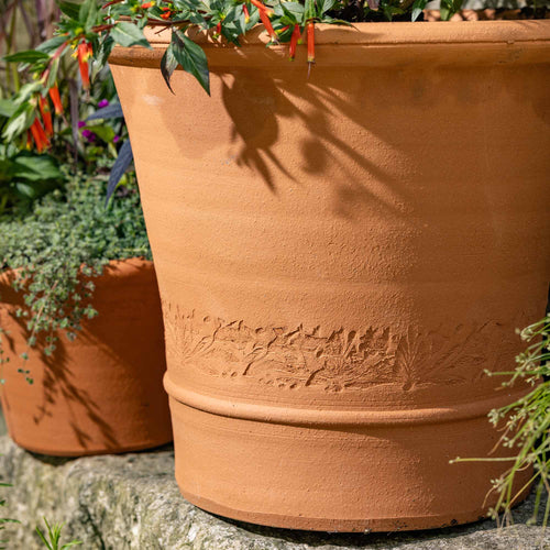 Closeup of a Large terracotta planter with embossed botanical band detail displayed outside next to more potted plants.