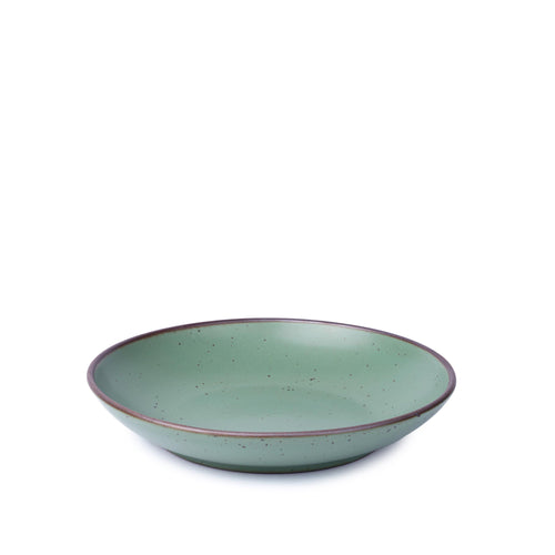 A medium ceramic plate with a curved bowl edge in a cool green color featuring iron speckles and an unglazed rim.