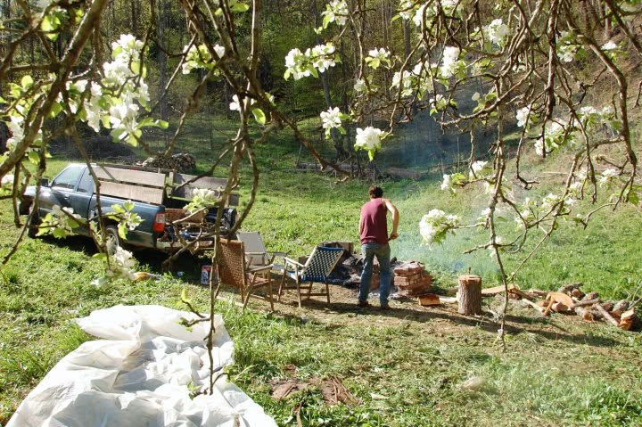 Alex stands near a small outdoor cooking setup with a grill and wood stack in a grassy backyard, viewed through flowering tree branches. A pickup truck is parked on the left.