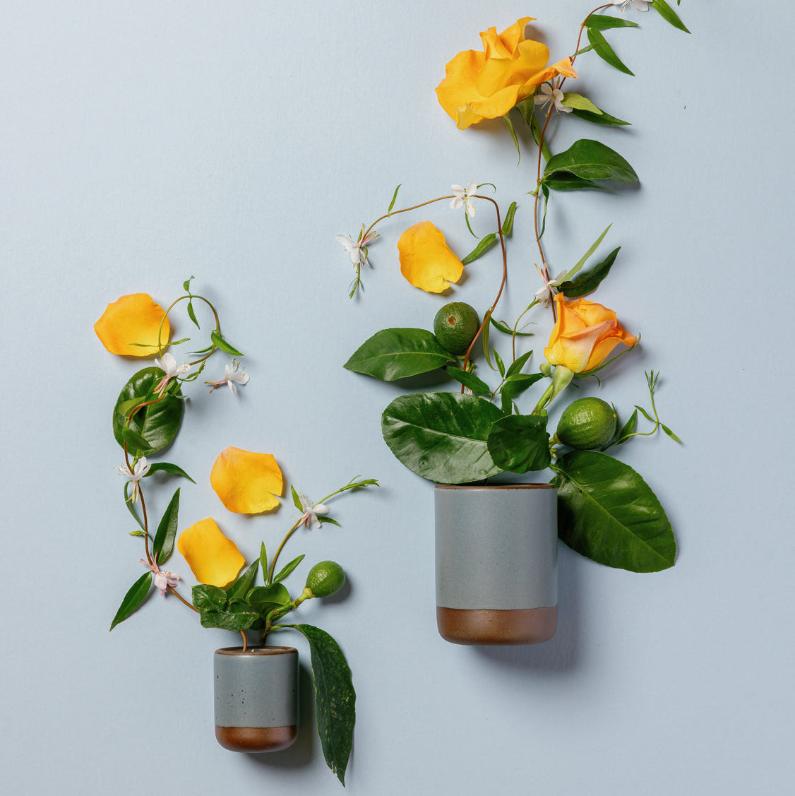 A small and large blue-grey ceramic candle vessels with bergamot, roses, and jasmine artfully coming out of each.
