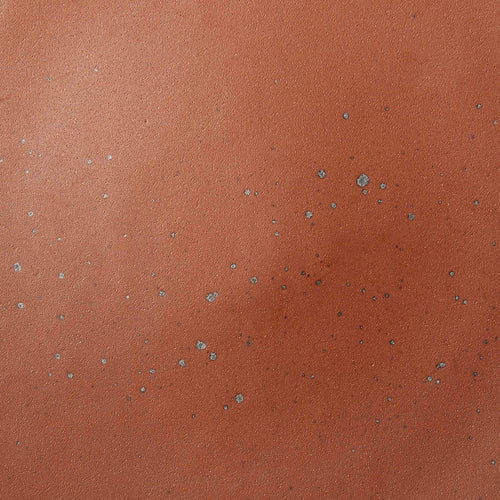 A closeup of a ceramic plate in a cool terracotta color with iron speckles throughout