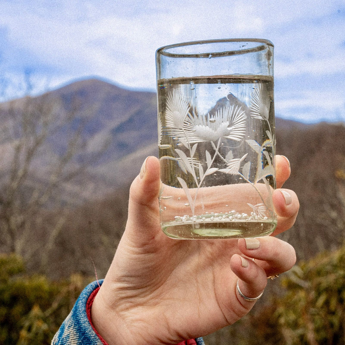 A hand holding a clear tumbler glass with etched thistle designs on it and filled with water against a mountain landscape backdrop