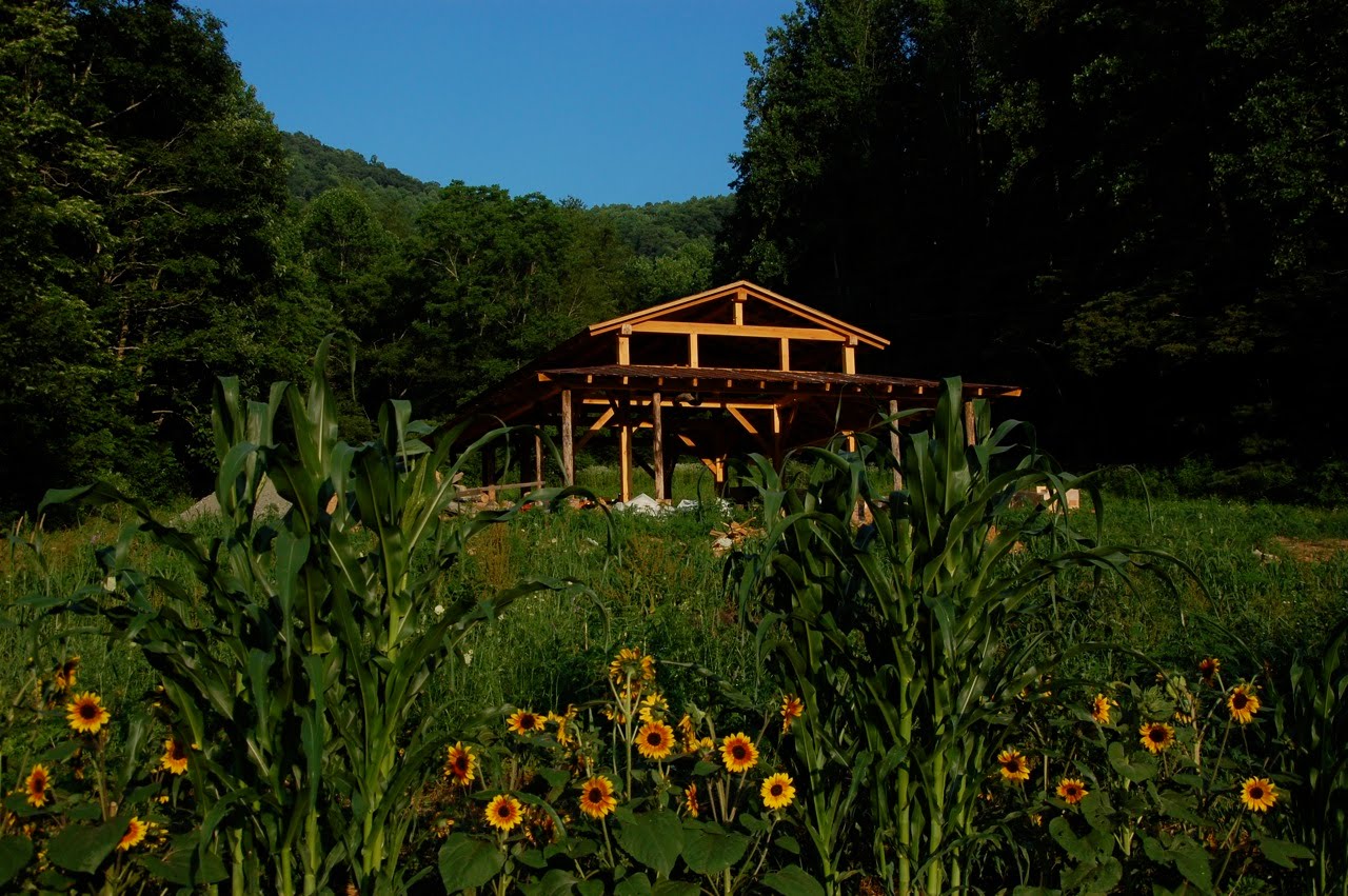 A rustic wooden barn or pavilion with a gabled roof stands in a grassy field with sunflowers in the foreground and dense trees behind it under a clear blue sky.